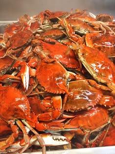 Crab Collection 6