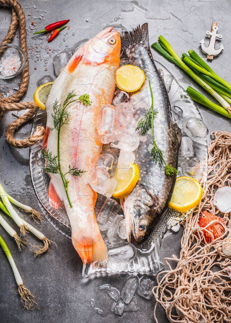 Fish Collection