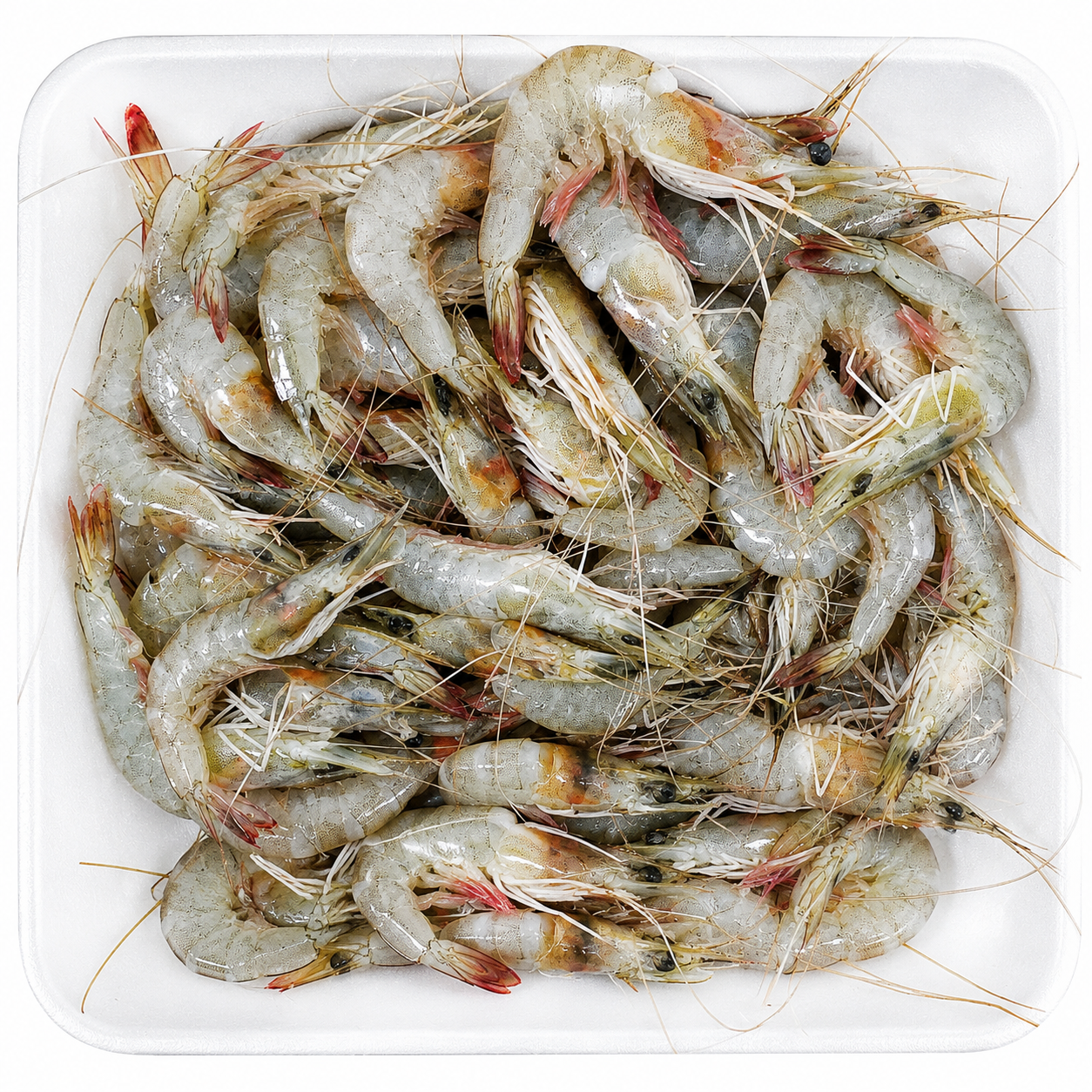 Vannamei Shrimp